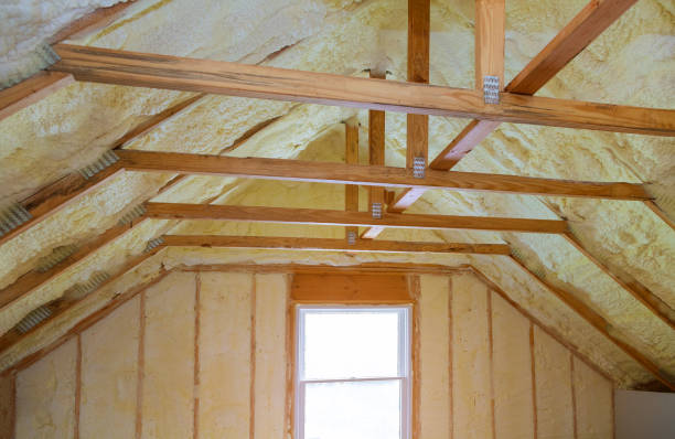 Types of Insulation We Offer in Kahuku, HI